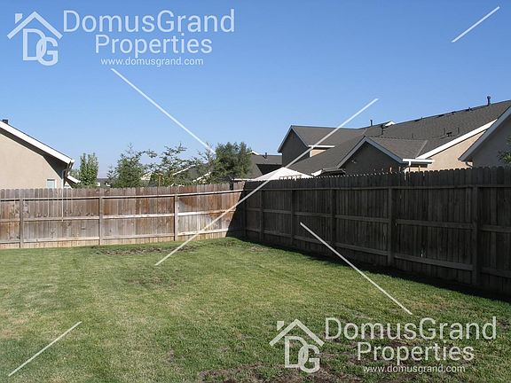 Backyard-1