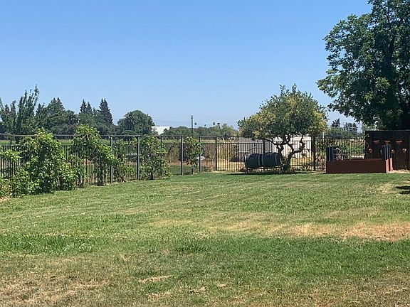 Grape vines & fruit trees in backyard completely fenced in