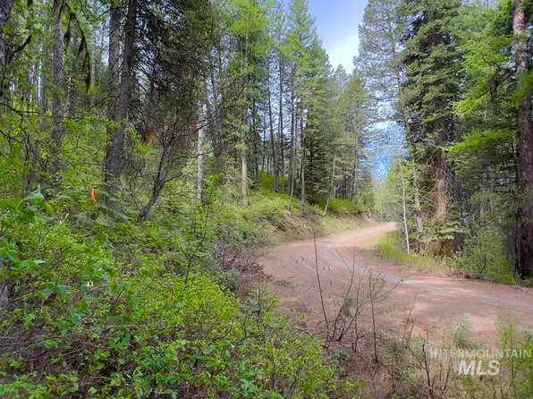 45 Landale Ln, Cascade, ID 83611