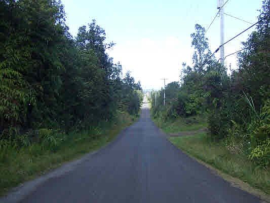2nd image of Lehua St Lot 7069
