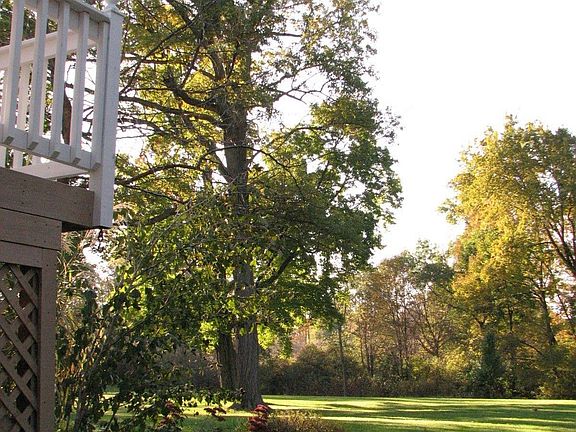 Large Private Backyard