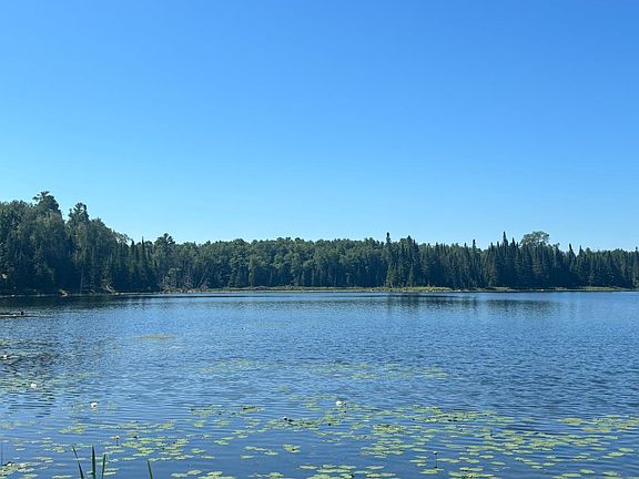 5th image of 37363 Amen Lake Rd