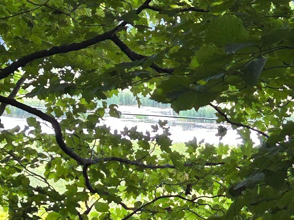 1st image of Longbridge Lot 9