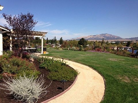 Garden & Pergola View of Mt. Diablo