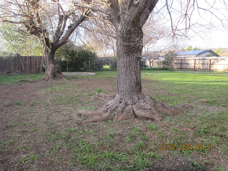 15 La Palma Dr — Photo 15