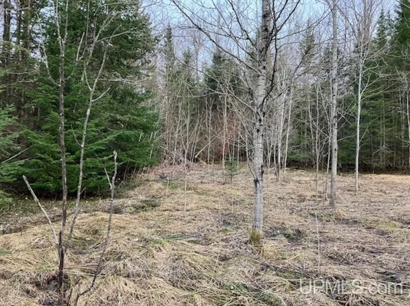 Off #M28, Munising, MI 49862