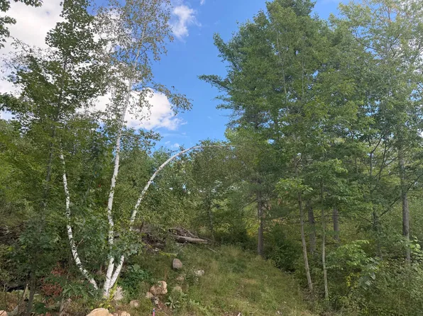 2 Cator Dr, Minocqua, WI 54548