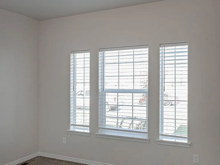 805 Shadowleaf Ave — Photo 16