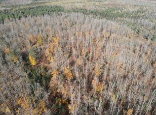 0VL Bowden Trl, Hillman, MI 49746