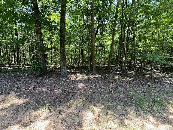 5th image of 123 McReynolds Ln #123