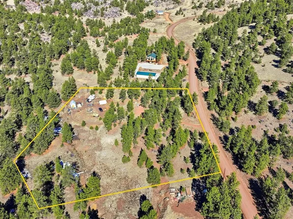 133 Wagon Wheel Road LOT 11, Guffey, CO 80820