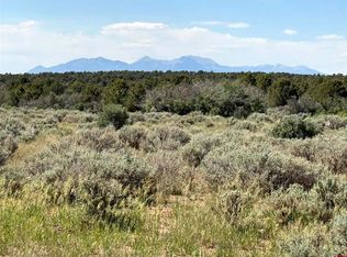 181 Road 9 #K, Egnar, CO 81325