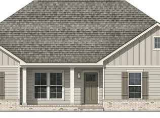 163 Adkinson Rd, Newton, AL 36352