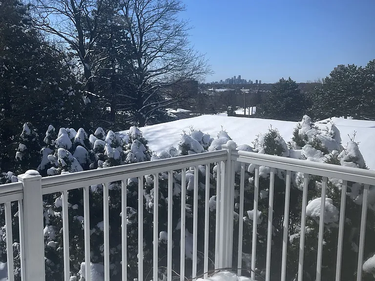 74 Valentine Dr — Photo 18