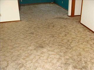 1st image of 1125 SW 54th St