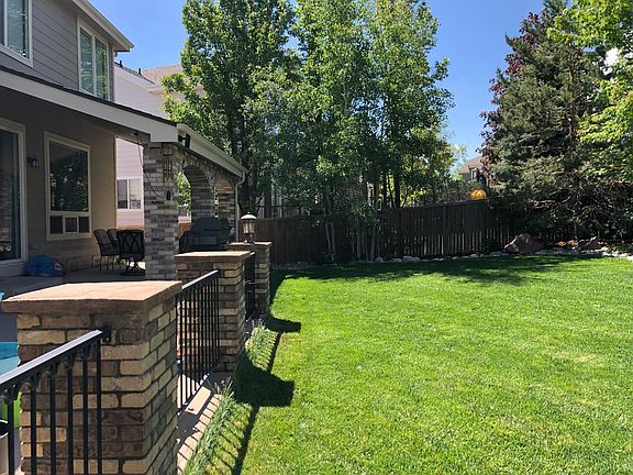 Back yard