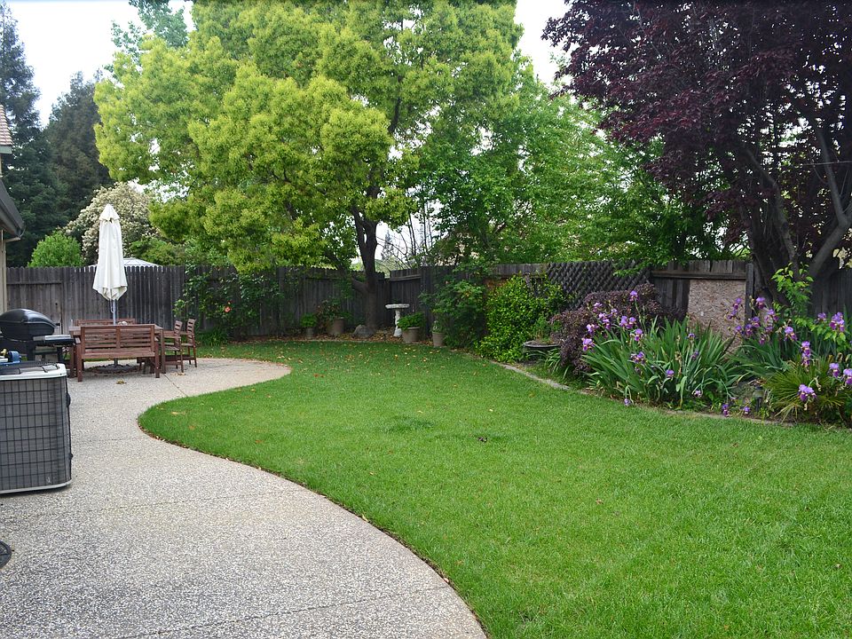 Spacious back yard