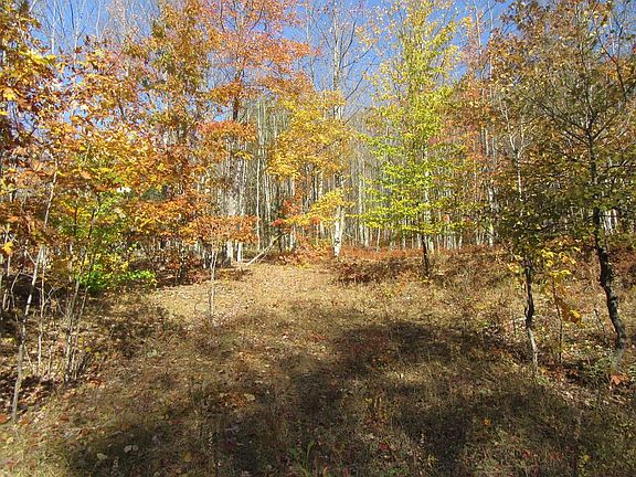 4th image of Martha Ln