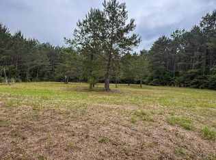 1131 Big Woods Rd, New Waverly, TX 77358