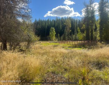 Nna Tanglewood Dr, Priest Lake, ID, 83856