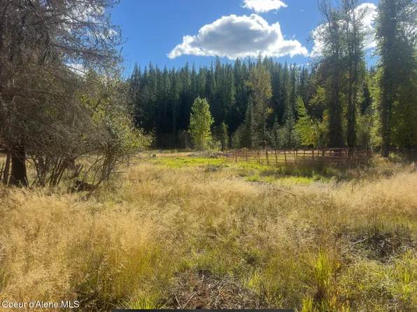 Nna Tanglewood Dr, Priest Lake, ID 83856