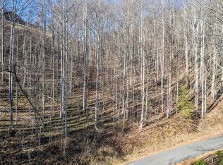 11 Prosperity Rdg, Waynesville, NC 28785