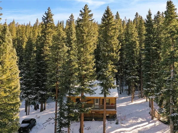 0516 County Road 674, Breckenridge, CO 80424