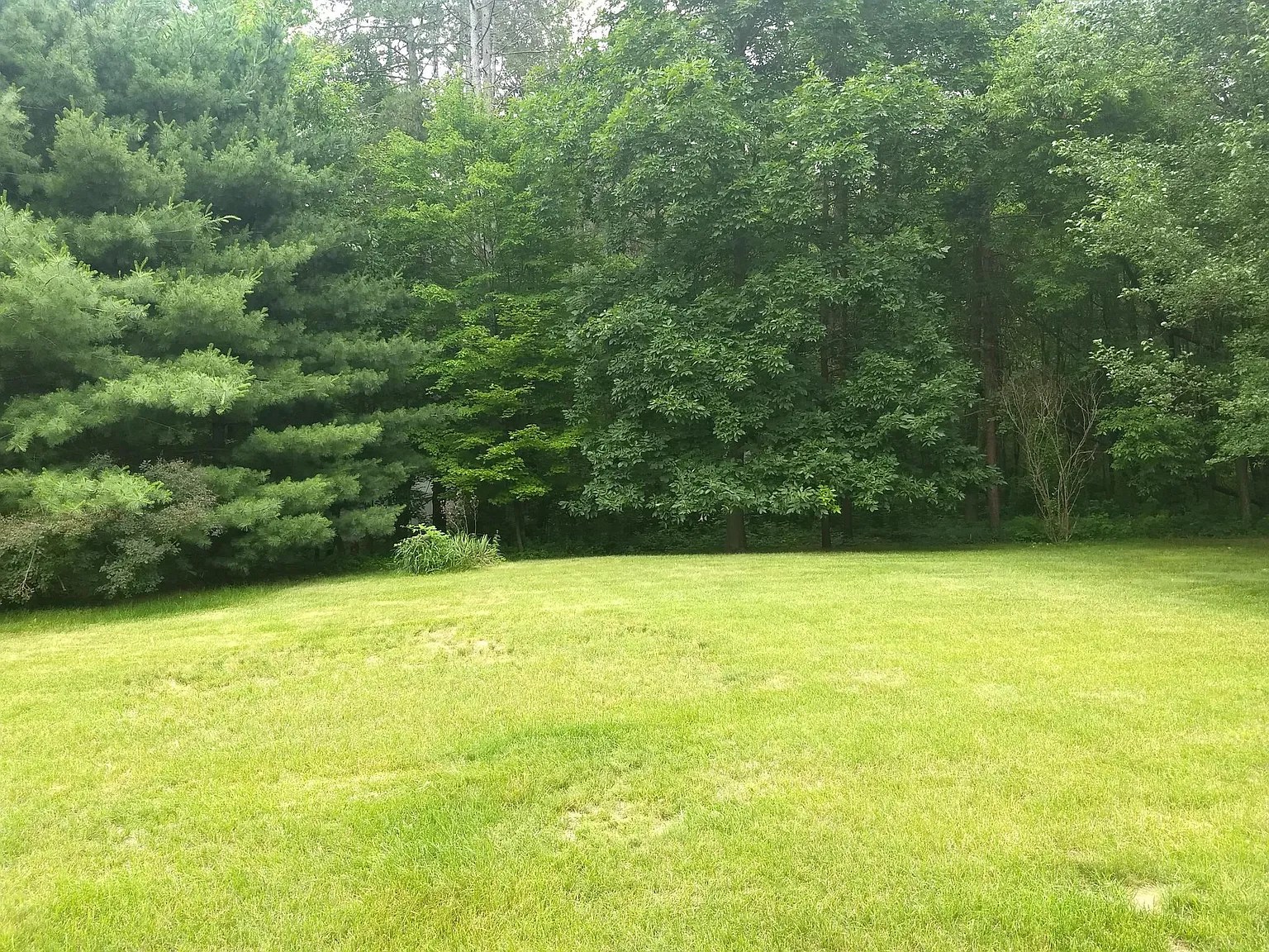 214 Pine Ridge Rd — Photo 4