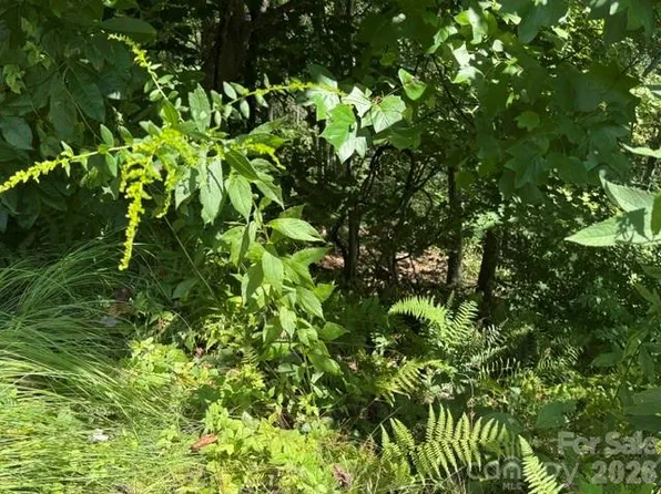 Jane Ln, Hendersonville, NC 28792