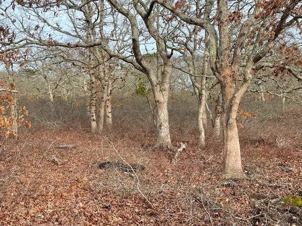 22 Bramble Path, West Tisbury, MA 02575