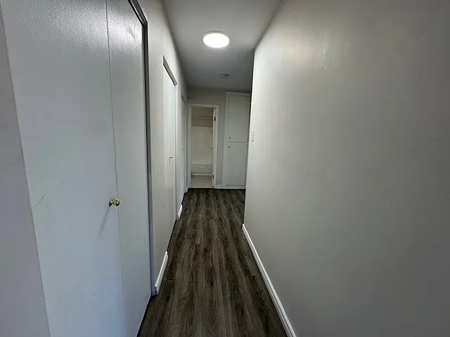 236 Louisa St #8B — Photo 13