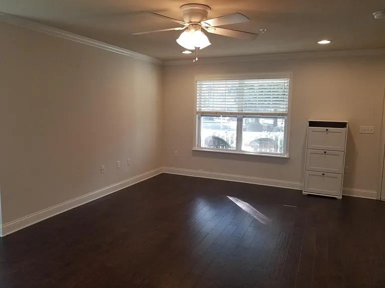 Living Room photo 1