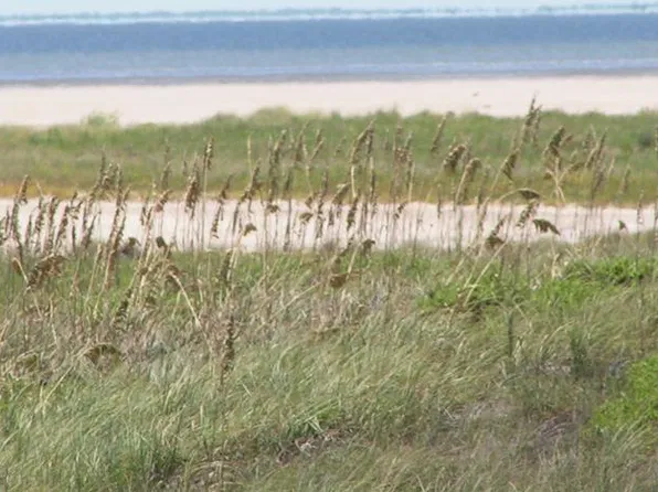 LOT 7 Other S, South Padre Island, TX 78597