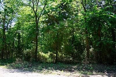 1st image of County Road 3503