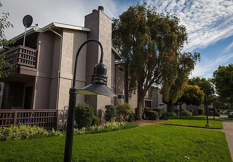Laurel Grove — Photo 23