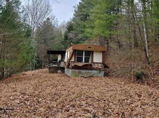 927 Left Fork Wilson Creek Rd, Wayne, WV 25570