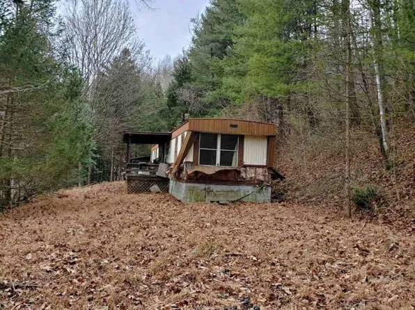927 Left Fork Wilson Creek Rd, Wayne, WV 25570