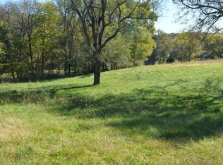 581 Meadow View Rd, Ozark, MO 65721