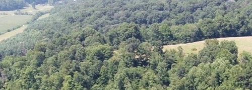1st image of 5288C Arvin Rd
