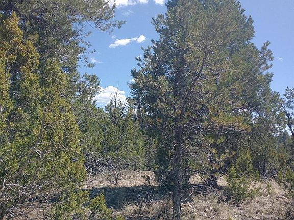 3rd image of 1979 Bradley Ln Lot 224