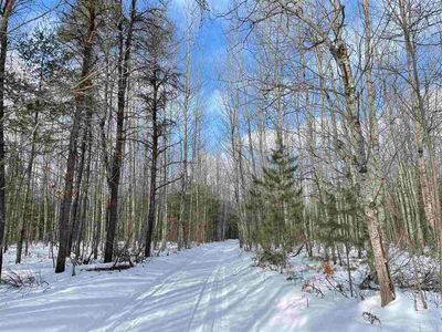 PARCEL Silery Rd #D, Indian River, MI, 49749
