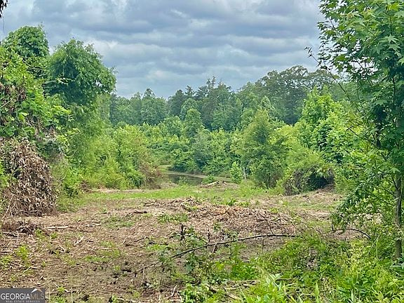 4th image of 0 Folds Rd Tract D-22.67