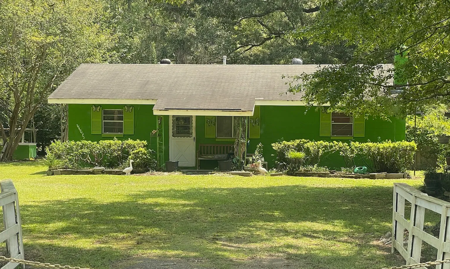 2 bed, $1,200 — Photo 1