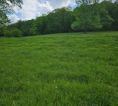 2nd image of 263 Club Springs Rd