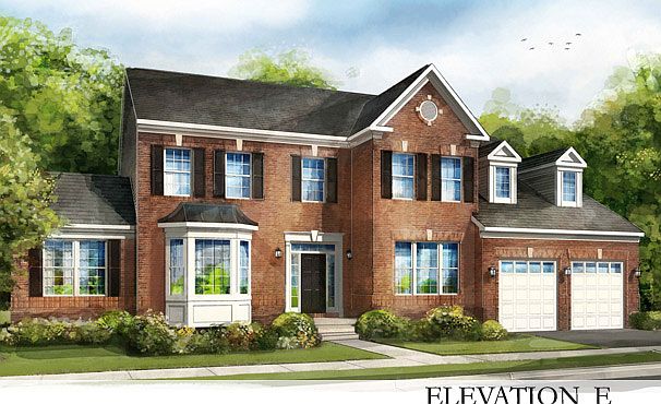 ElevationImage