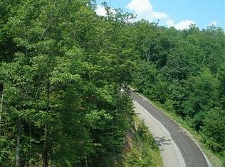 613 Big Bear Ridge Rd, Gatlinburg, TN 37738