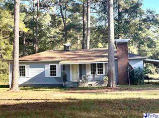 308 S Liberty St, Olanta, SC 29114