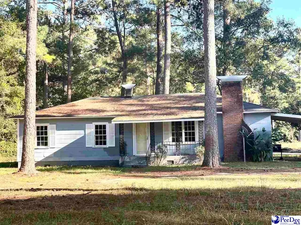 308 S Liberty St, Olanta, SC 29114