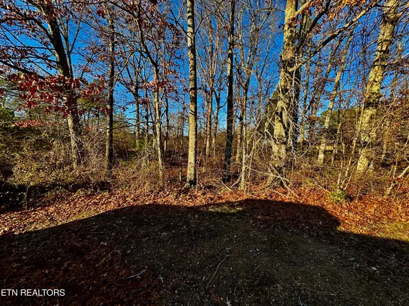 Four Mile Creek Rd, Deer Lodge, TN 37726