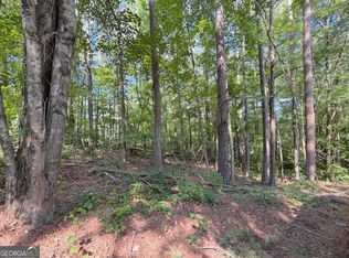 1306 Southgate Dr, Villa Rica, GA 30180